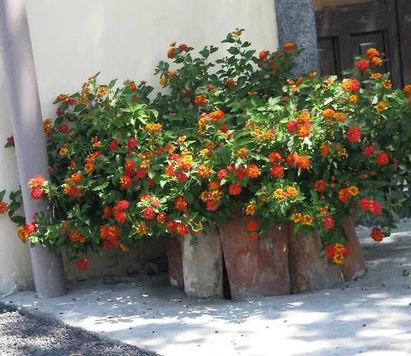 Casale Degli Zappini Castiglione De Sicilia