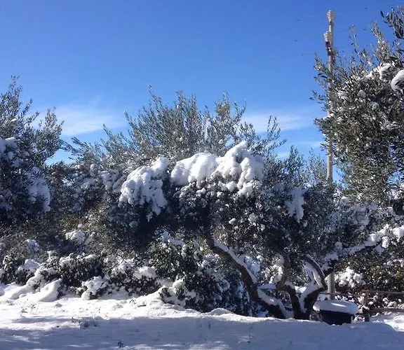 Casale Degli Zappini Casa vacanze *